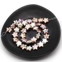 Natural Freshwater Pearl Loose Beads, Star, DIY, multi-colored, 12-13mm, Approx 35PCs/Strand, Sold By Strand