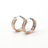 Stainless Steel Lever Back Earring 304 Stainless Steel plated fashion jewelry & for woman Sold By Pair