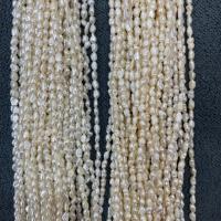 Koraliki Keishi z hodowlanych pereł słodkowodnych, Perła naturalna słodkowodna, Barok, DIY, biały, 3-4mm, sprzedawane na około 15 cal Strand