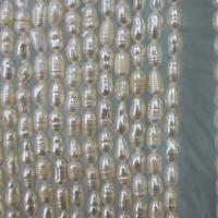Perles d'eau douce de culture de riz, perle d'eau douce cultivée, DIY, blanc, 4-5mm, Vendu par Environ 15 pouce brin