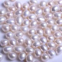 Inga Hål odlad sötvattenspärla pärlor, Freshwater Pearl, DIY & inget hål, fler färger för val, 11-12mm, 500G/Lot, Säljs av Lot