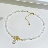 Freshwater Pearl Brass Chain Necklace, Pérolas de água doce, with cobre, cromado de cor dourada, joias de moda & para mulher & com strass, branco, 3-4mm, comprimento Aprox 17 inchaltura, vendido por PC