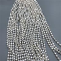 Riso coltivato in perla d'acqua dolce, perla d'acquadolce coltivata naturalmente, DIY, bianco, 6-7mm, Venduto per Appross. 15 pollice filo
