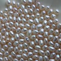 Nessun buco coltivate in acqua dolce Perla, perla d'acquadolce coltivata naturalmente, DIY & non forato, bianco, 6-7mm, 10PC/borsa, Venduto da borsa