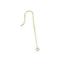 Stainless Steel Hook Earwire, 316L Stainless Steel, plated, DIY & different styles for choice, more colors for choice, Sold By PC
