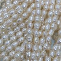 Cultured Rice Freshwater Pearl Beads, DIY, white, 4-5mm, Sold Per Approx 15 Inch Strand