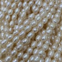 Cultured Rice Freshwater Pearl Beads, DIY, white, 4-5mm, Sold Per Approx 15 Inch Strand