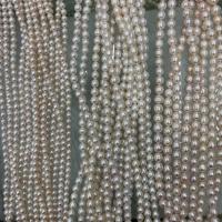 Barock kultivierten Süßwassersee Perlen, Natürliche kultivierte Süßwasserperlen, DIY & verschiedene Größen vorhanden, weiß, verkauft per ca. 15 ZollInch Strang