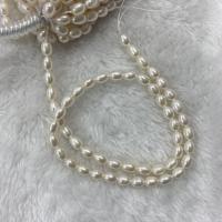 Cultured Rice Freshwater Pearl Beads, DIY, white, 5mm, Sold Per Approx 15 Inch Strand