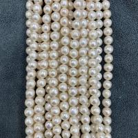 Naturalne perły słodkowodne perełki luźne, Perła naturalna słodkowodna, Koło, DIY, biały, 10-11mm, sprzedawane na około 15 cal Strand