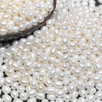 Perles nacres sans trou de culture d'eau douce, perle d'eau douce cultivée, DIY, plus de couleurs à choisir, 7-8mm, Vendu par PC