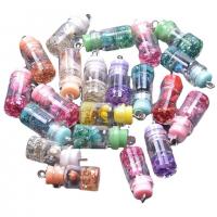 Resin Pendant, Bottle, random style & DIY, mixed colors, 10x26mm, Sold By PC