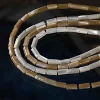 Natural Freshwater Shell Beads Trochus Shell DIY Approx Sold By Strand