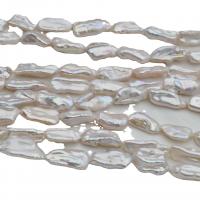 Biwa kultivované sladkovodní perle, Sladkovodní Pearl, Přírodní & DIY, bílý, 8-20mm, Prodáno za 38-40 cm Strand