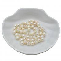 Cultured Round Freshwater Pearl Beads, Natural & DIY, white, 6mm, Sold By PC