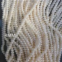 Turno coltivate in acqua dolce Perla, perla d'acquadolce coltivata naturalmente, Cerchio, Naturale & DIY, bianco, 4mm, Venduto per 36-38 cm filo