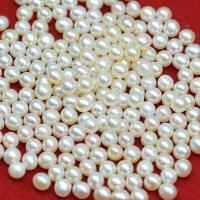 Inga Hål odlad sötvattenspärla pärlor, Freshwater Pearl, Något rund, Naturligt & DIY & inget hål, vit, 3-3.5mm, Säljs av PC