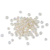 Nema rupa u kulturi Slatkovodni Pearl perle, Krug, Prirodno & možete DIY & različite veličine za izbor & nema rupe, bijel, Prodano By PC