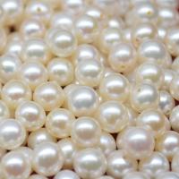 Cultured No Hole Freshwater Pearl Beads, Round, Natural & DIY, white, 5.5-6mm, Sold By PC