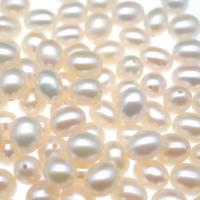 Perlas Arroz Freshwater, Perlas cultivadas de agua dulce, Natural & Bricolaje & diverso tamaño para la opción & sin agujero, Blanco, Vendido por UD