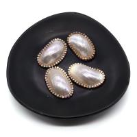 Shell Cabochons Trumpet Shell with Brass Oval gold color plated DIY & with rhinestone mixed colors 20x30- Sold By PC