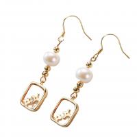 Freshwater Pearl Earrings with Pearl Oyster & Brass 925 sterling silver earring hook gold color plated Natural & fashion jewelry & for woman two different colored 6mm Sold By Pair