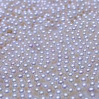 Turno coltivate in acqua dolce Perla, perla d'acquadolce coltivata naturalmente, Cerchio, DIY & formato differente per scelta, bianco, Venduto da PC