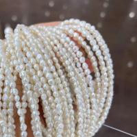 Naturalne perły słodkowodne perełki luźne, Perła naturalna słodkowodna, DIY, biały, sprzedawane na około 15 cal Strand