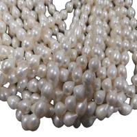 Naturel d'eau douce perles, perle d'eau douce cultivée, larme, DIY, blanc, 11x14mm, Vendu par 30-33 cm brin