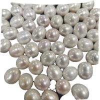 Turno coltivate in acqua dolce Perla, perla d'acquadolce coltivata naturalmente, Leggermente rotondo, Naturale & DIY, bianco, 10x11mm, Venduto da PC