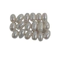 Cultured Rice Freshwater Pearl Beads Natural & DIY white Sold By PC