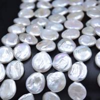 Perlas Botón Freshwater , Perlas cultivadas de agua dulce, Natural & Bricolaje, Blanco, 18-20mm, Vendido para 36-39 cm Sarta