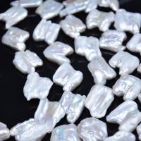 Barok ferskvandskulturperle Beads, Ferskvandsperle, Naturligt & du kan DIY, hvid, 22-25mm, Solgt Per 31-37 cm Strand