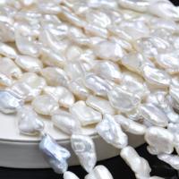 Barock kultivierten Süßwassersee Perlen, Natürliche kultivierte Süßwasserperlen, Natürliche & DIY, weiß, 8x15mm, verkauft per 35-38 cm Strang