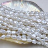 Barock kultivierten Süßwassersee Perlen, Natürliche kultivierte Süßwasserperlen, Natürliche & DIY, weiß, 8-9mm, verkauft per ca. 36-38 cm Strang