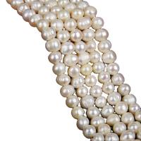 Natūralus gėlavandenių perlų Palaidos karoliukai, Gėlo vandens perlų, Pasidaryk pats & skirtingo dydžio pasirinkimo, baltas, Parduota už 36-38 cm Strand