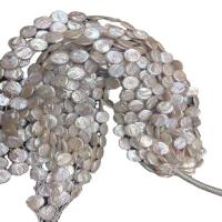 Button Kulturan Slatkovodni Pearl perle, Dugme, Prirodno & možete DIY, bijel, Prodano Per 36-38 cm Strand