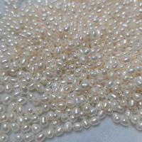 Cultured Rice Freshwater Pearl Beads, DIY & half-drilled, white, 4x5mm, Sold By PC
