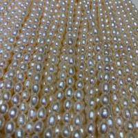 Perles d'eau douce de culture de riz, perle d'eau douce cultivée, DIY, blanc, 4.8mm, Vendu par Environ 15 pouce brin