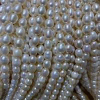 Naturliga sötvattenspärla lösa pärlor, Freshwater Pearl, DIY, vit, 7-8mm, Såld Per Ca 15 inch Strand
