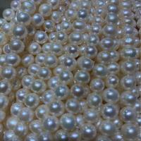 天然淡水真珠ルース ビーズ, 天然有核フレッシュウォーターパール, DIY, ホワイト, 7-8mm, で販売される 約 38 センチ ストランド