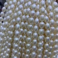 Perlas Arroz Freshwater, Perlas cultivadas de agua dulce, Bricolaje, Blanco, 7-8mm, Vendido para aproximado 39 cm Sarta