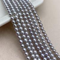 Natural Freshwater Pearl Loose Beads, DIY, purple, 3.5-4mm, Sold Per Approx 15 Inch Strand