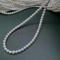 Naturliga sötvattenspärla lösa pärlor, Freshwater Pearl, DIY, vit, 5-6mm, Såld Per Ca 15 inch Strand