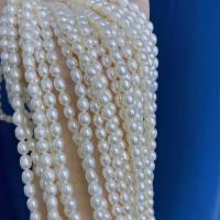 Naturales agua dulce perlas sueltas, Perlas cultivadas de agua dulce, Bricolaje, Blanco, 5-6mm, Vendido para aproximado 15 Inch Sarta