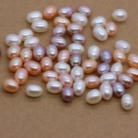Cultured Half Drilled Freshwater Pearl Beads, DIY & different size for choice & half-drilled, more colors for choice, 10PCs/Bag, Sold By Bag