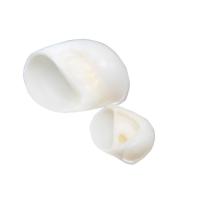 Shell Decoration Natural & fashion jewelry white 2.5-4cm Sold By PC