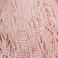 Cultured Rice Freshwater Pearl Beads, DIY, more colors for choice, 3-4mm, Sold Per Approx 38 cm Strand