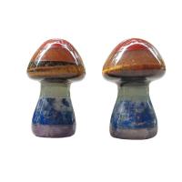 pierre gemme Plaque de grattage, champignon, poli, Massage, multicolore, 36x22mm, Vendu par PC