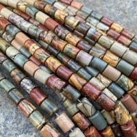 Gemstone Jewelry Beads, Picasso Jasper, Column, polished, DIY, mixed colors, 6x10mm, Approx 40PCs/Strand, Sold By Strand